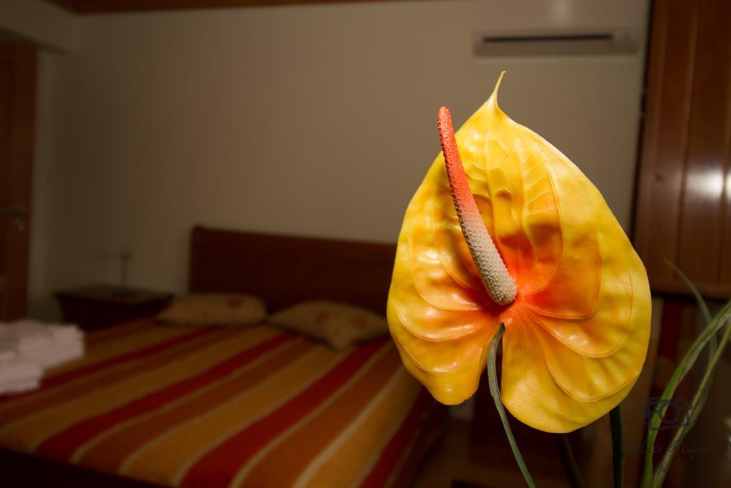 Hotel Casa Da Ribeirinha Sabugueiro  Zewnętrze zdjęcie